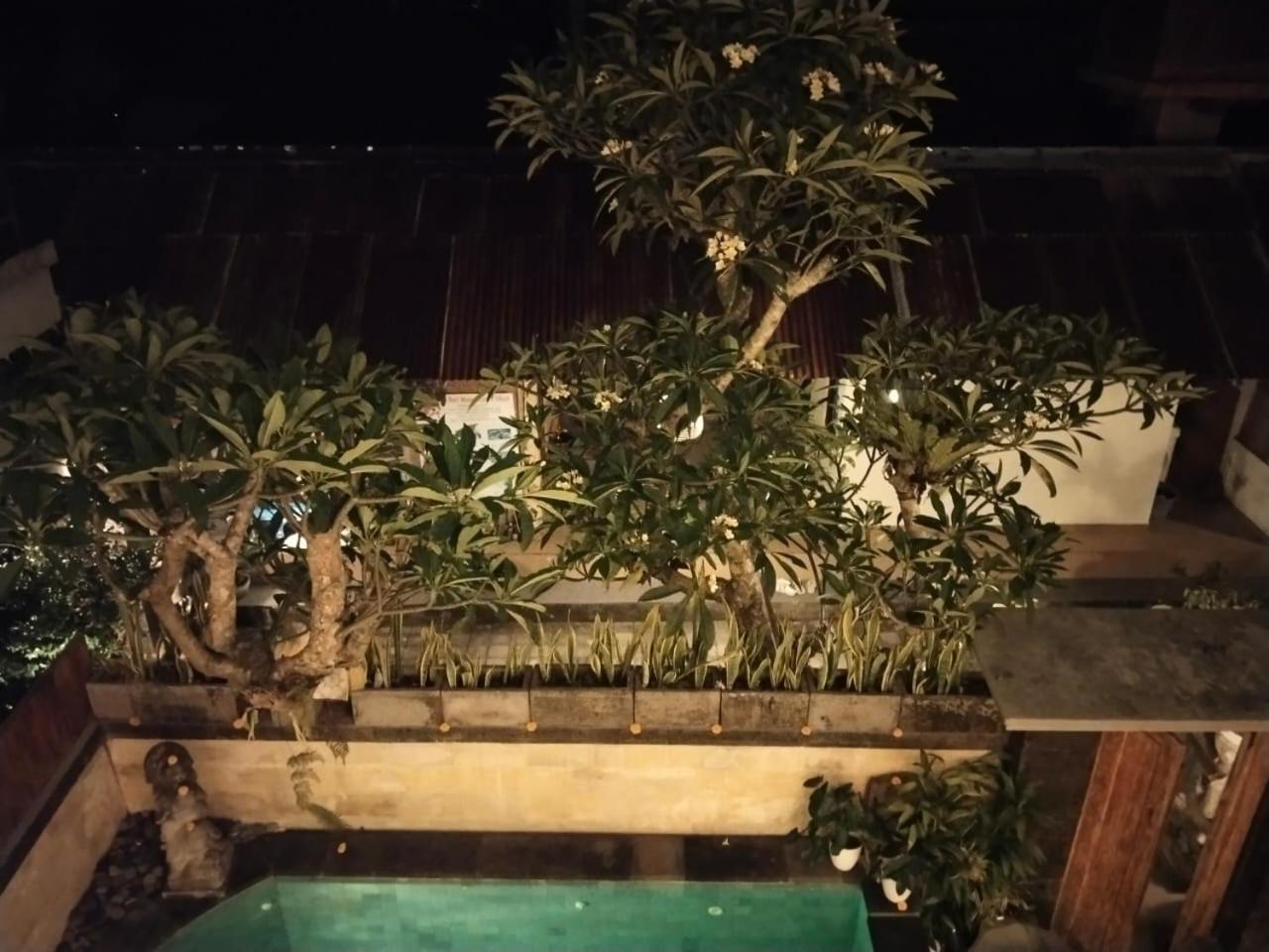 Villa Danu House Ubud Zimmer foto